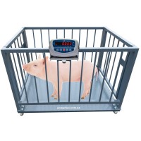 Весы для взвешивания животных, свиней, крс 300 кг, 500 кг, 1т, 2т. Украина