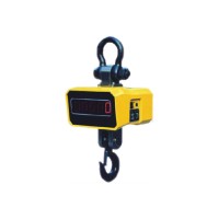 Весы крановые индикаторные ВКЕ-01-02