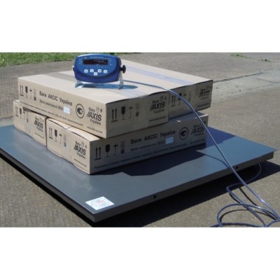 Платформна вага для складу 4BDU600-1012 бюджет 1000х1250 мм (до 600 кг)