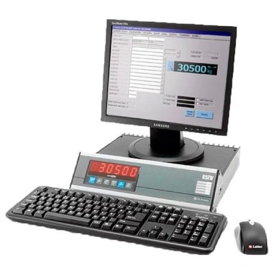 Весовой индикатор PWI-T